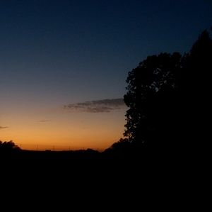 Meet your Posher, Darby